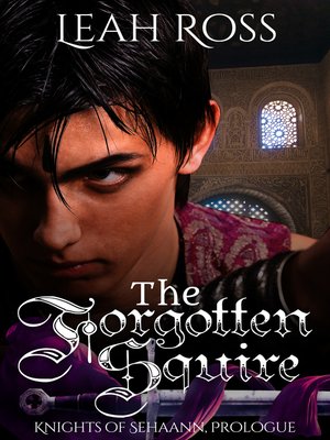 cover image of The Forgotten Squire